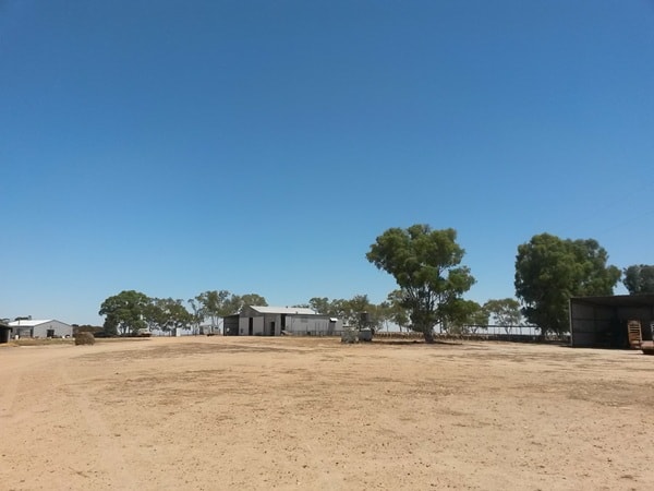 shearing shed